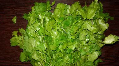 garnishing-instructions-image